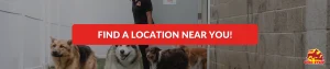 Find A Location Near You