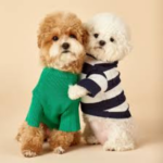 dog accessories