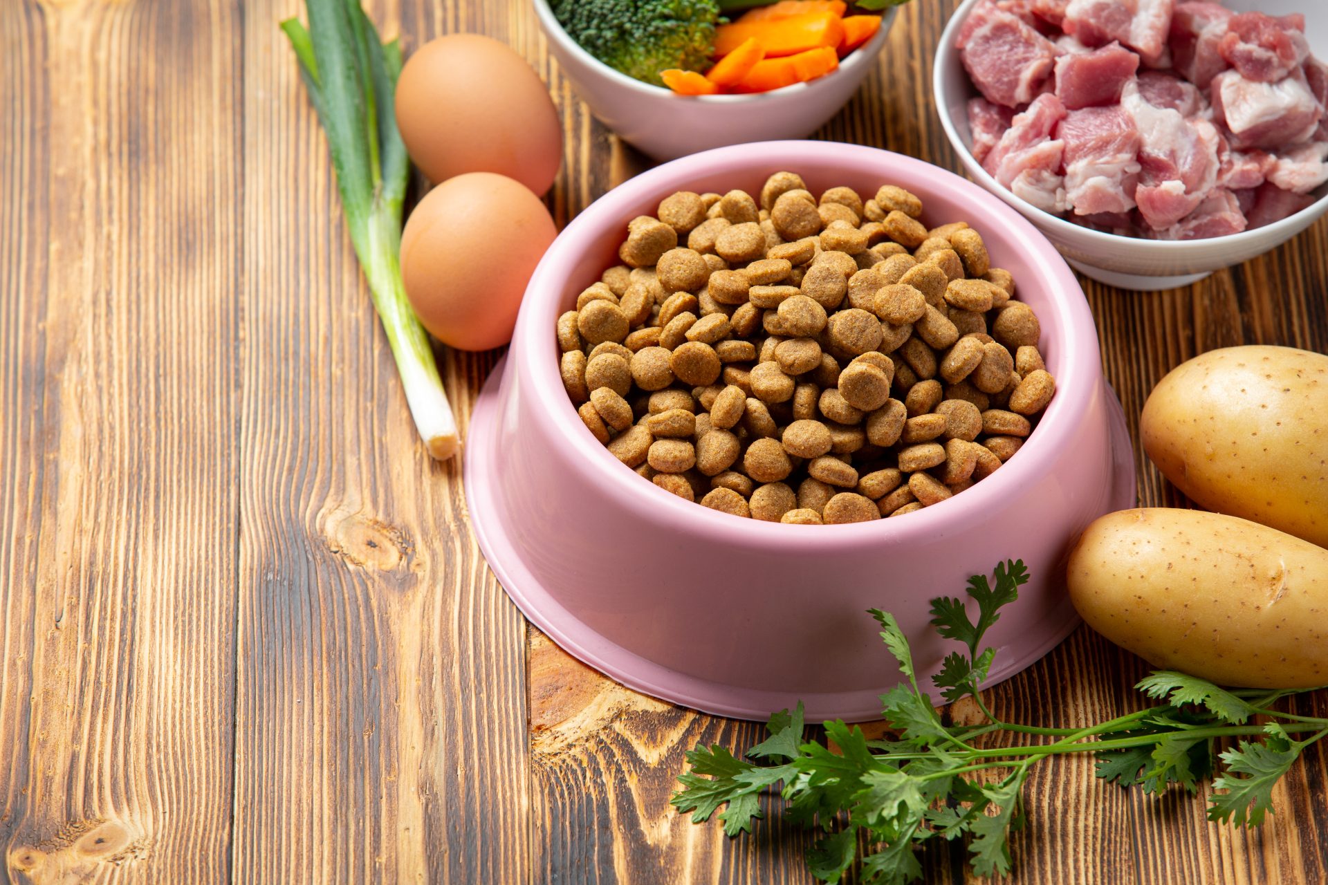 The Dog Stop - What Dog Food To Pick