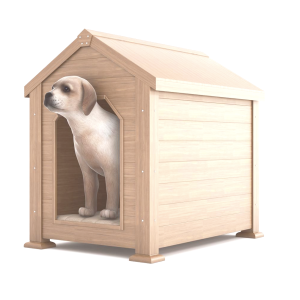 The Dog Stop - Safety