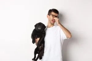 what causes bad breath in dogs